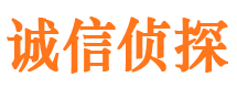 杂多市侦探调查公司